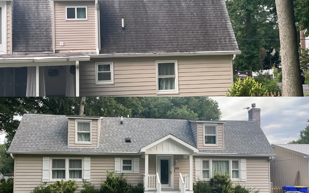 What Turns My Roof Black?