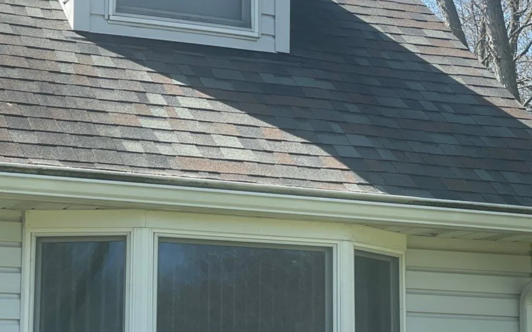 How Does Moss and Algae Affect Your Roof During Spring?