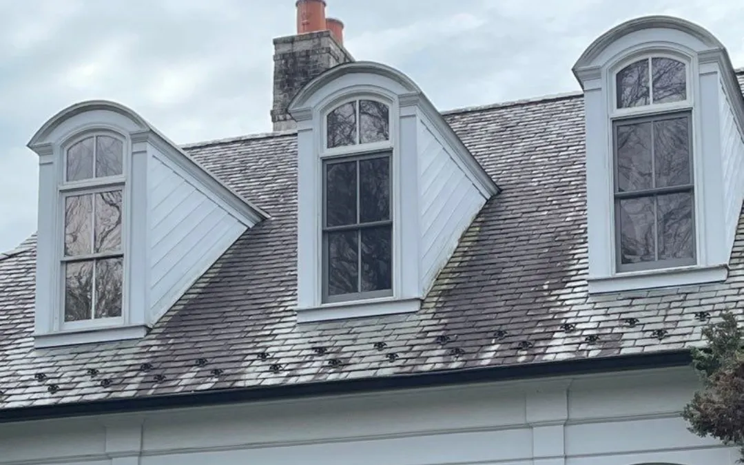How Often Should Gutters Be Cleaned If You Have a Lot of Trees?