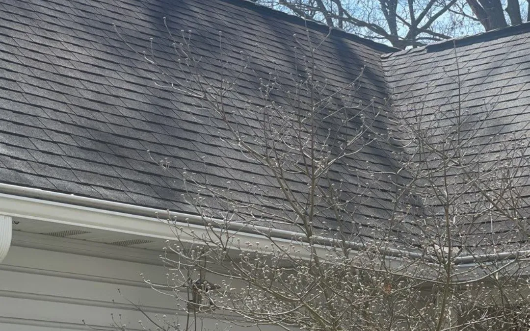 Don’t Wait for Fall: Why Roof Cleaning in August Prevents Big Problems