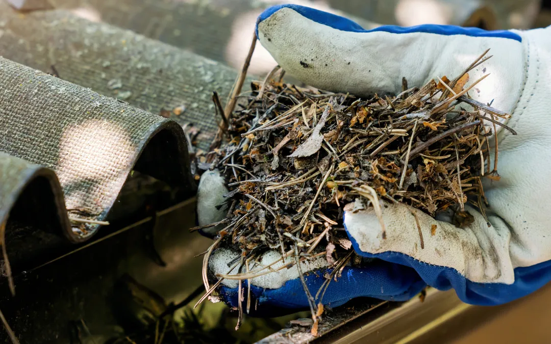 When Is the Best Time to Clean Gutters in the Fall?